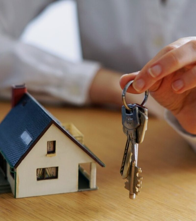 realtors realtors